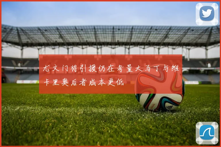尤文门将引援仍在考量大马丁与维卡里奥后者成本更低